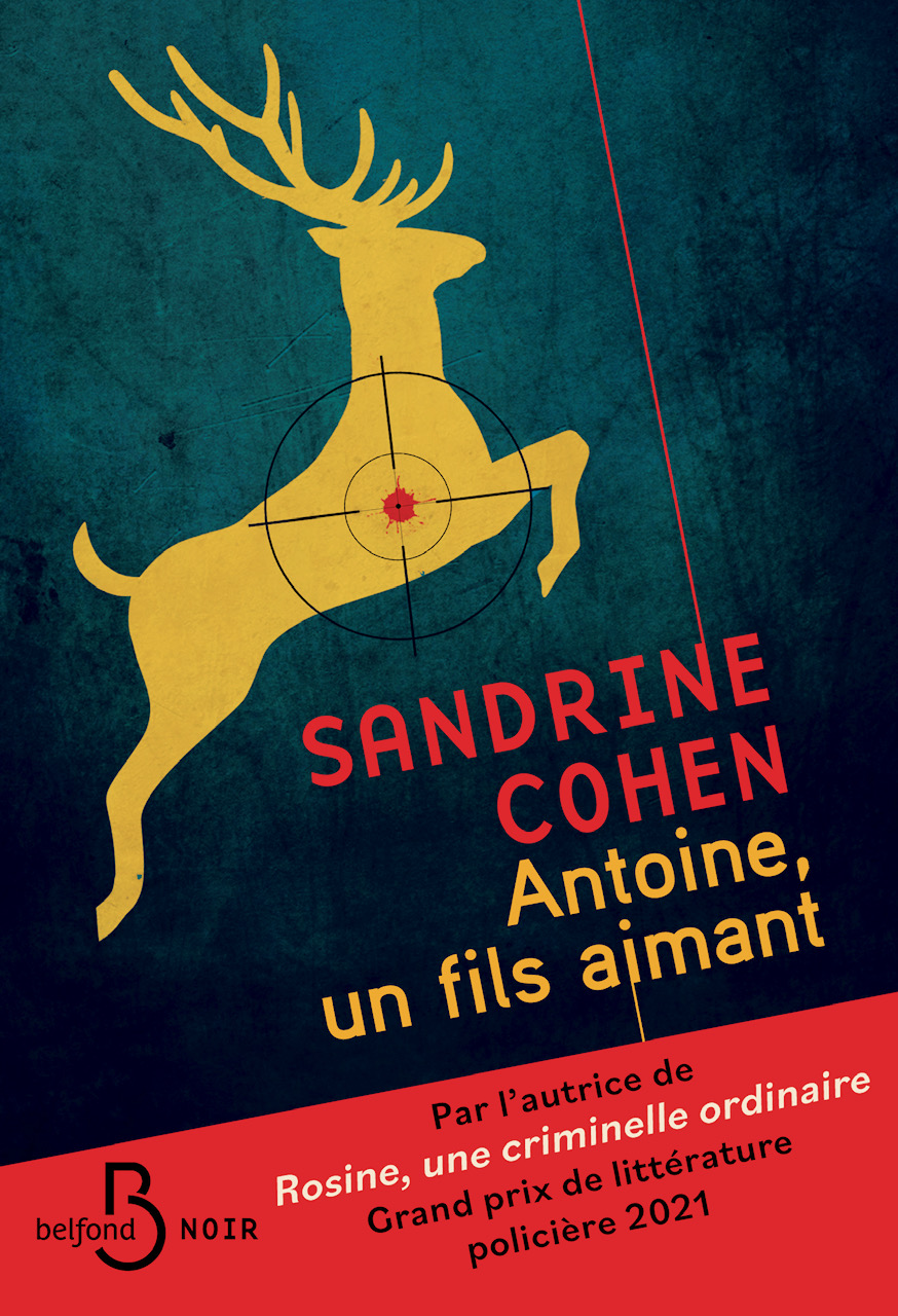 Couverture du roman " Antoine, un fils aimant" de Sandrine Cohen